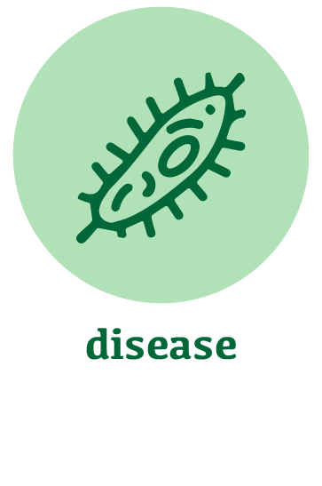 disease