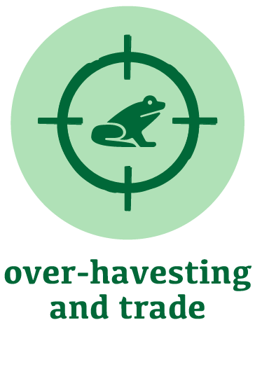 over-harvesting and trade