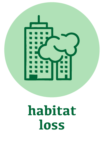 habitat loss